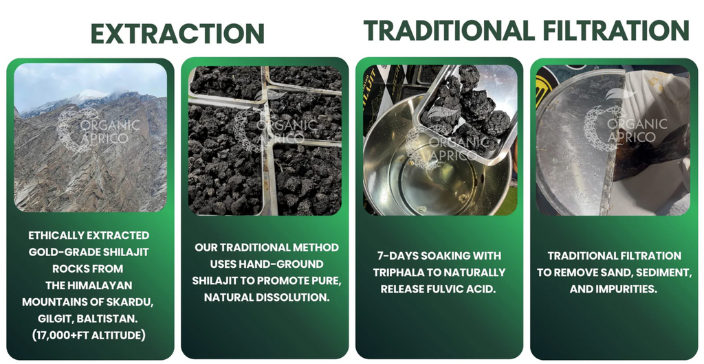 Himalayan Pure Shilajit