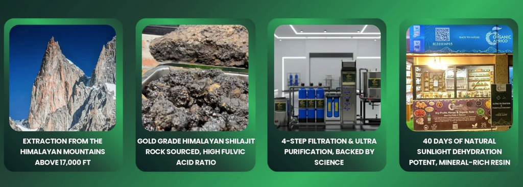 Himalayan Pure Shilajit